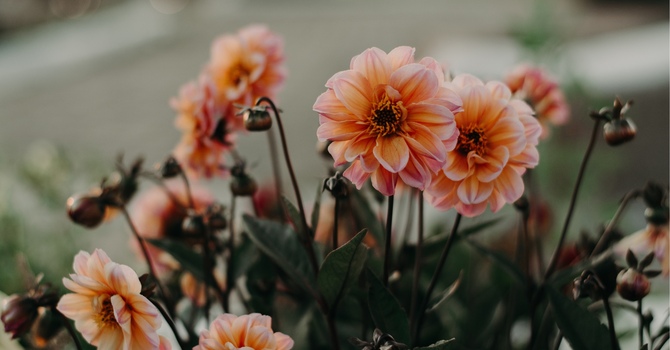 Couples and relationships